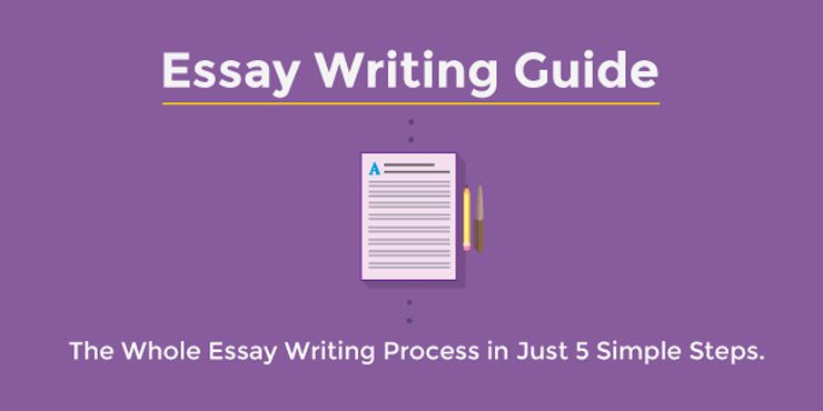 Essay Writing Guide. The Whole Essay Writing Process in Just 5 Simple ...